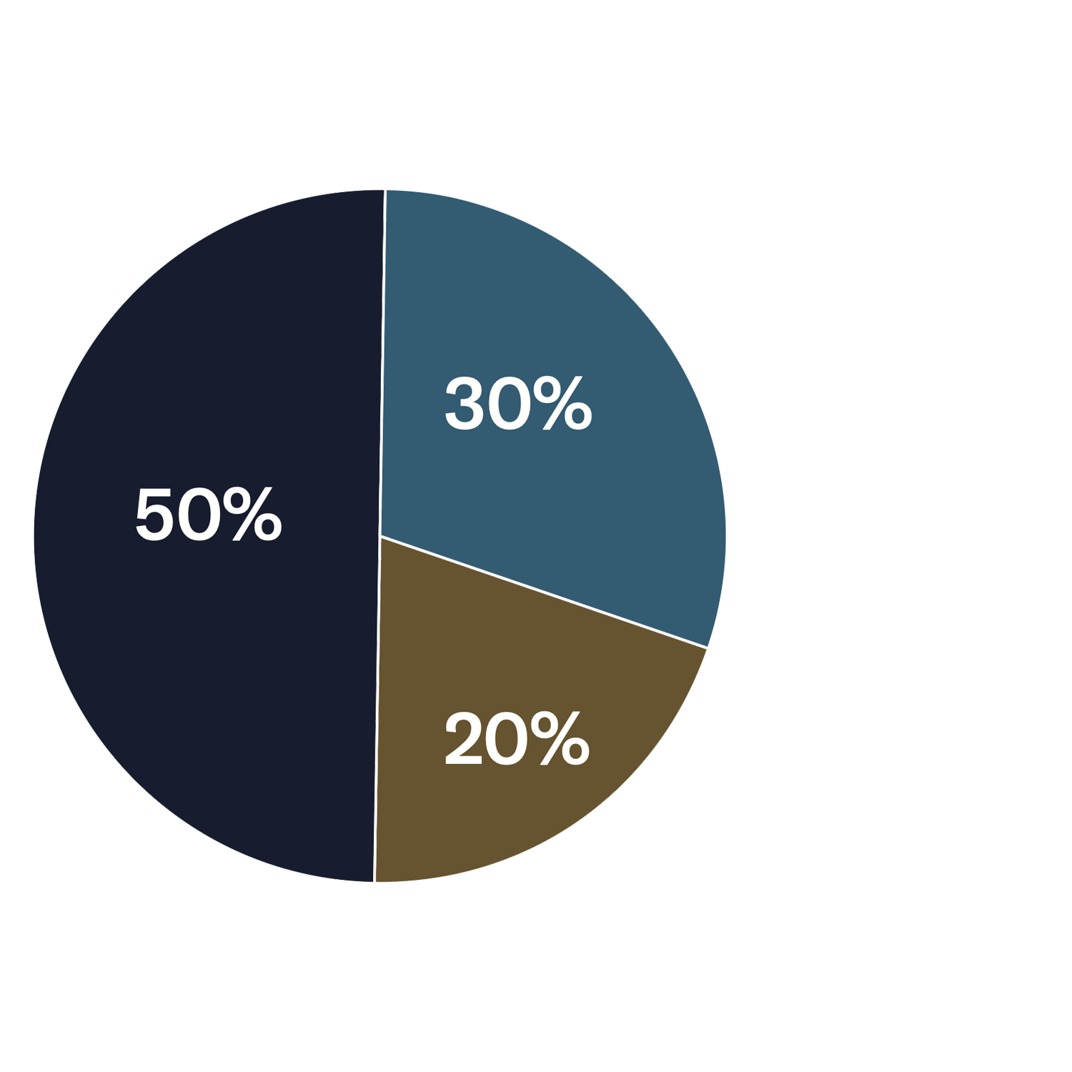 Grafico a torta che raffigura il metodo del 50/30/20 per la suddivisione delle proprie risorse mensili in base al profilo finanziario.
