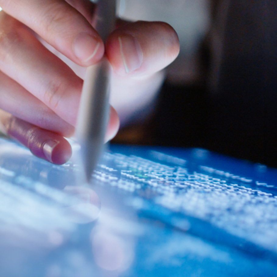 Donna che utilizza un computer, a rappresentare le opportunità offerte dall'Intelligenza Artificiale e la necessità di comprenderne rischi e potenzialità.